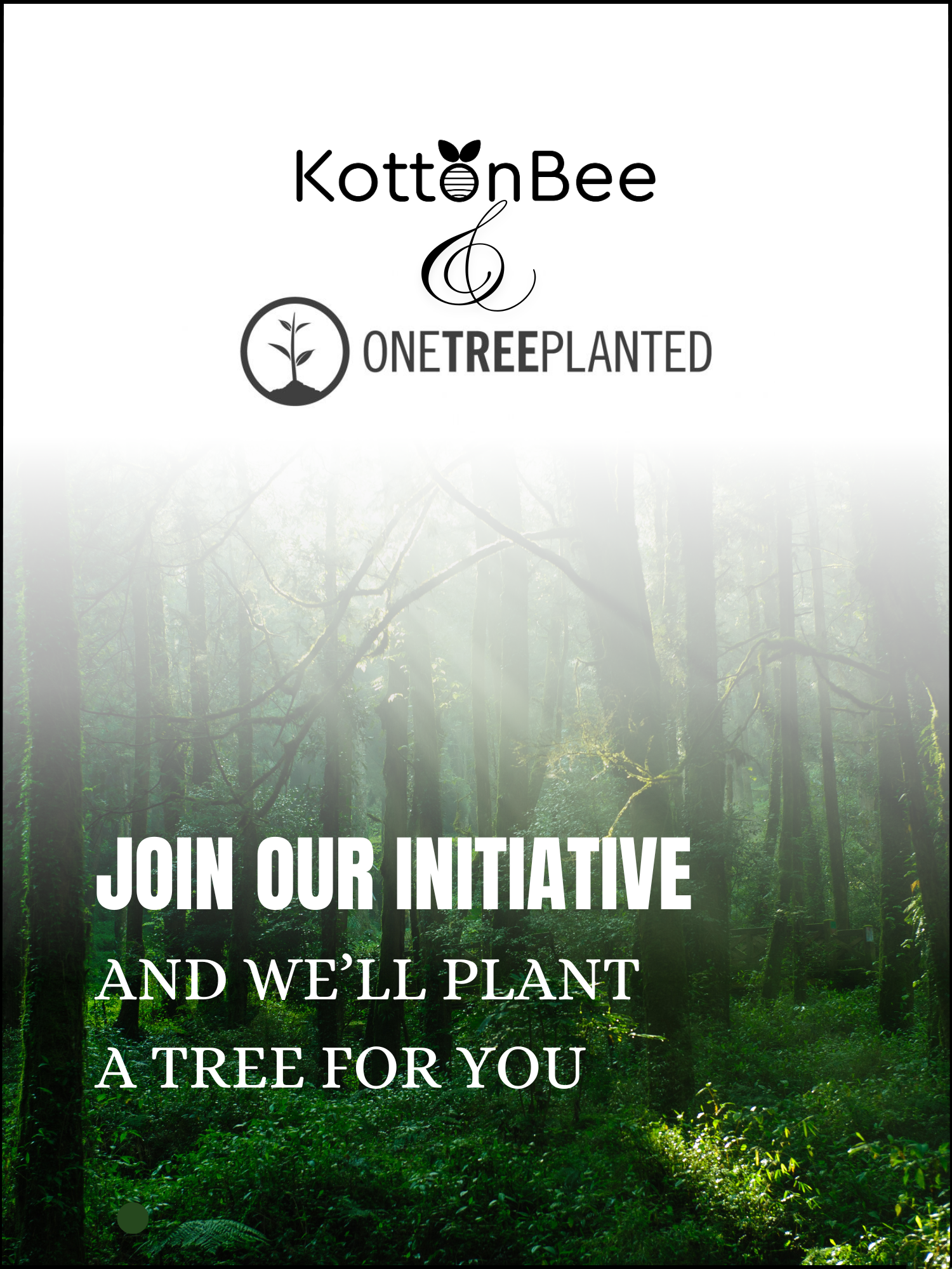 We’re Donating a Tree for You!