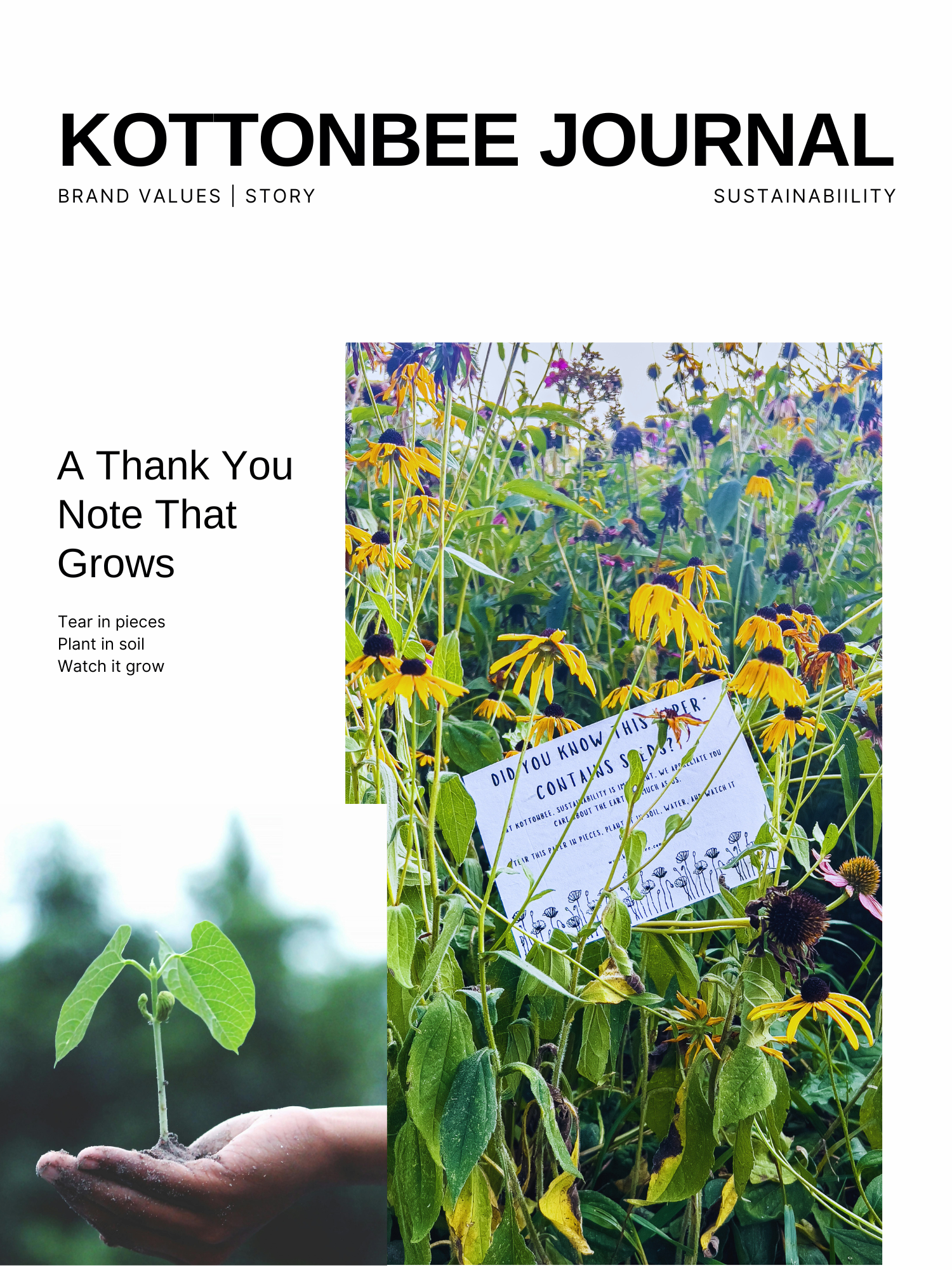 A Thank You Note That Grows