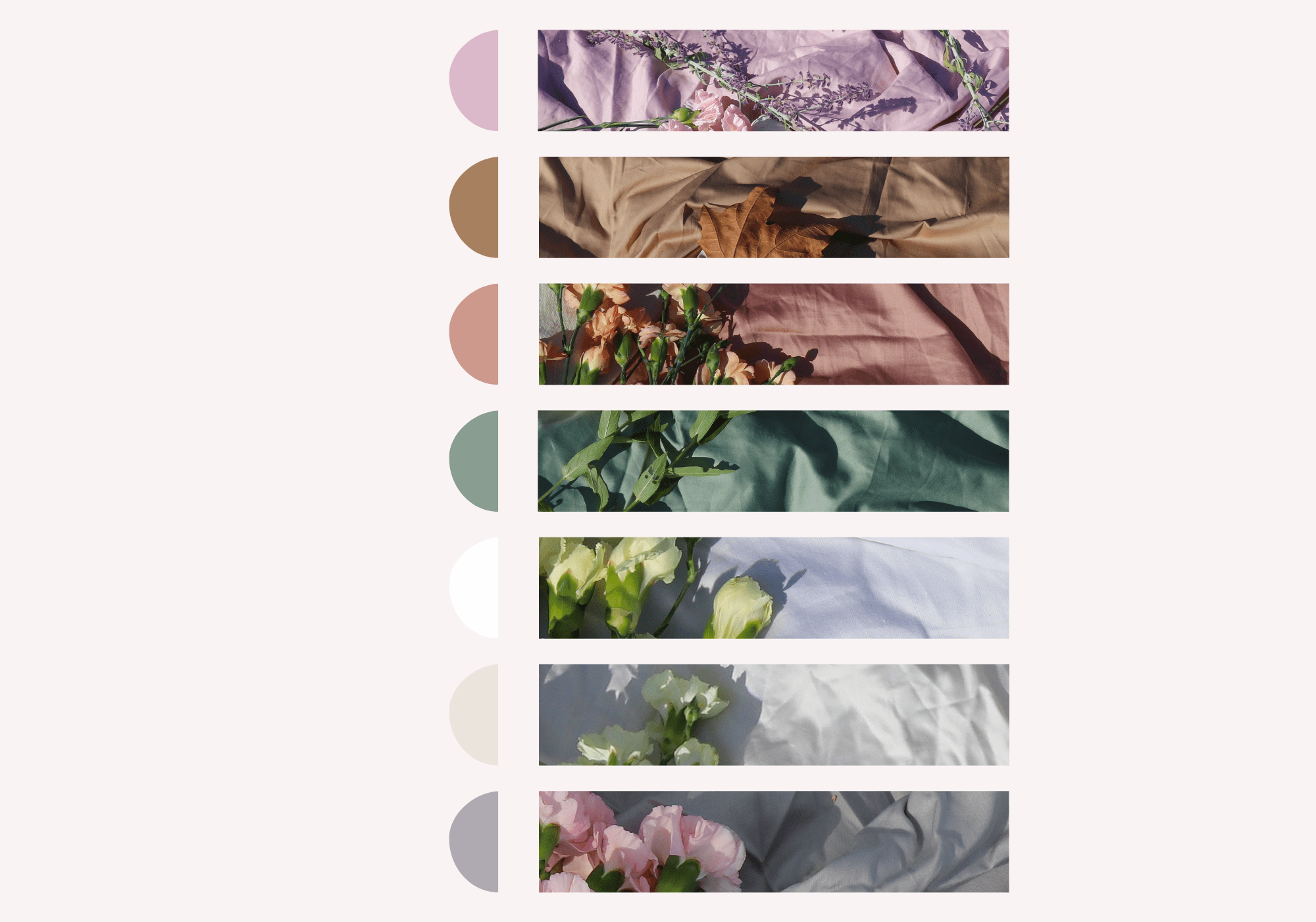 Dying soruces of KottonBee