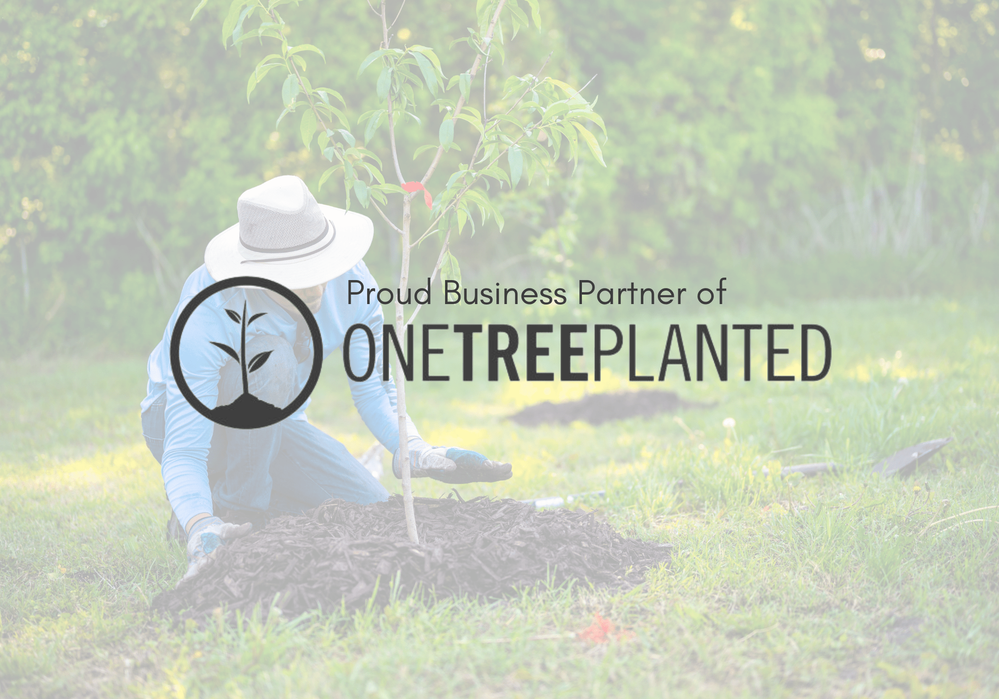 One Tree planted