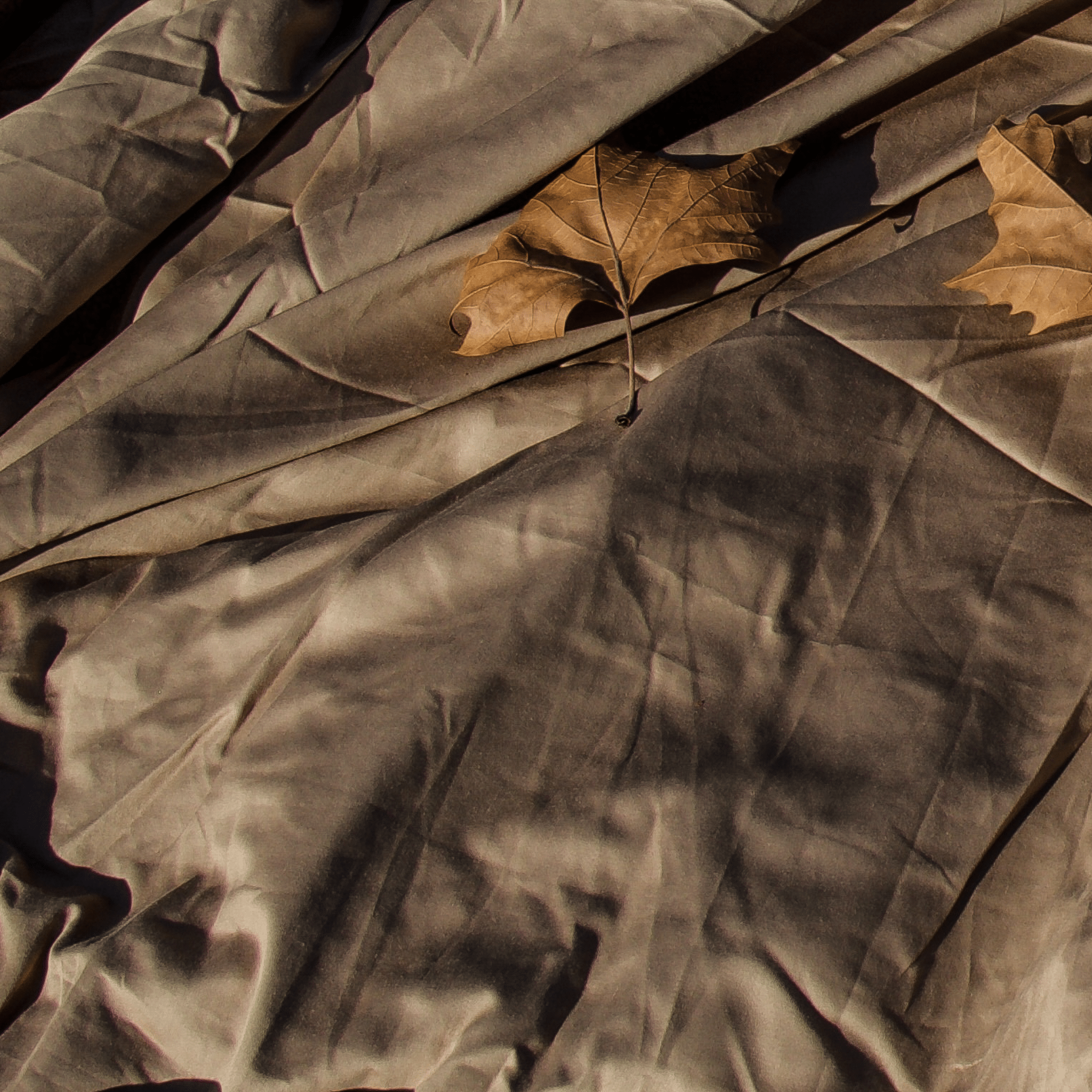 Taupe meadow Bedsheet Shade