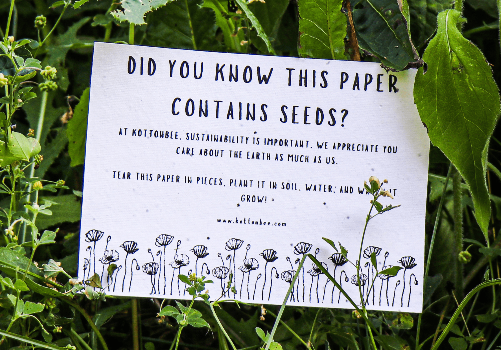 Paper contain seeds, so that you can grow plant