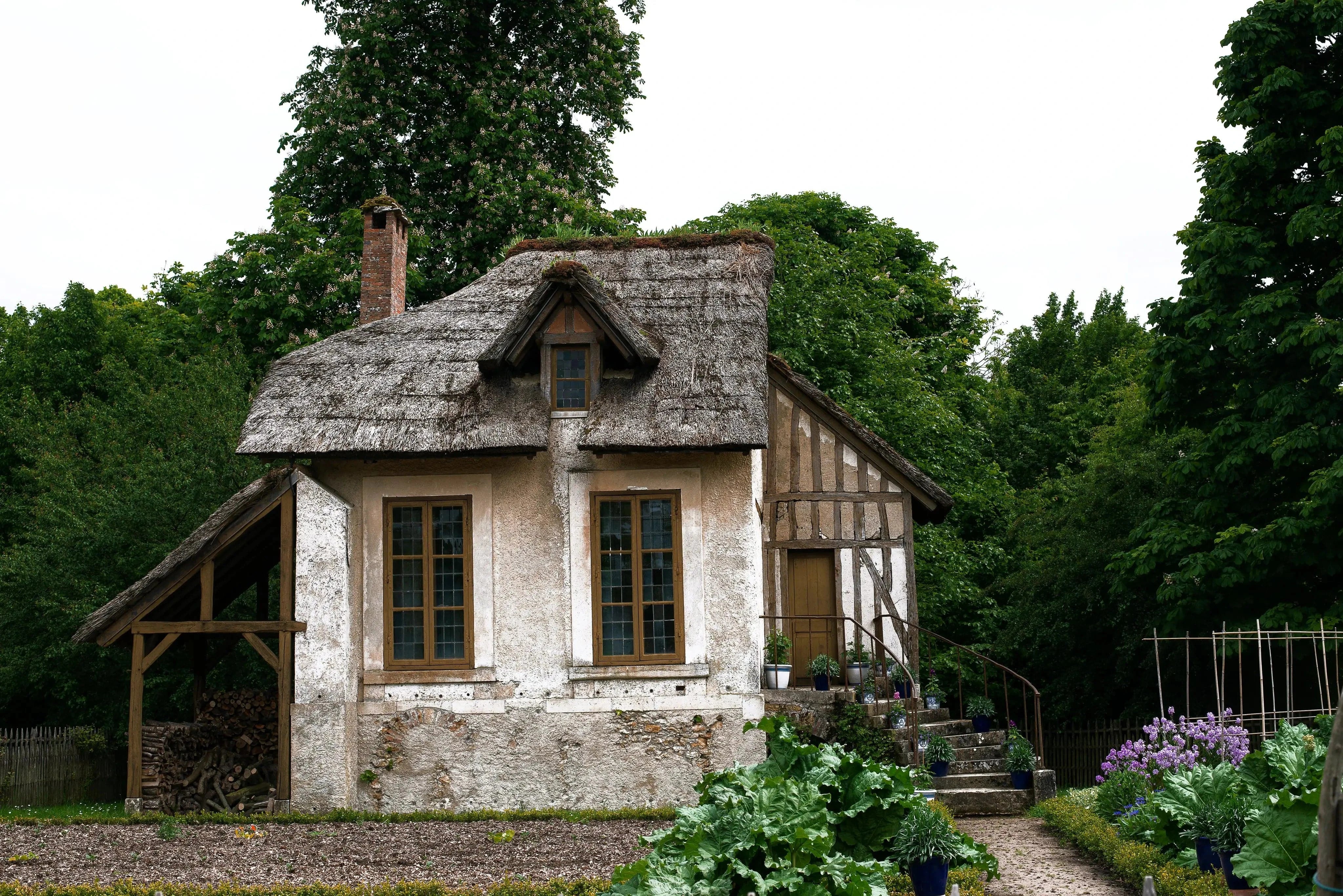 Airbnb Cosy Cabin in Woods
