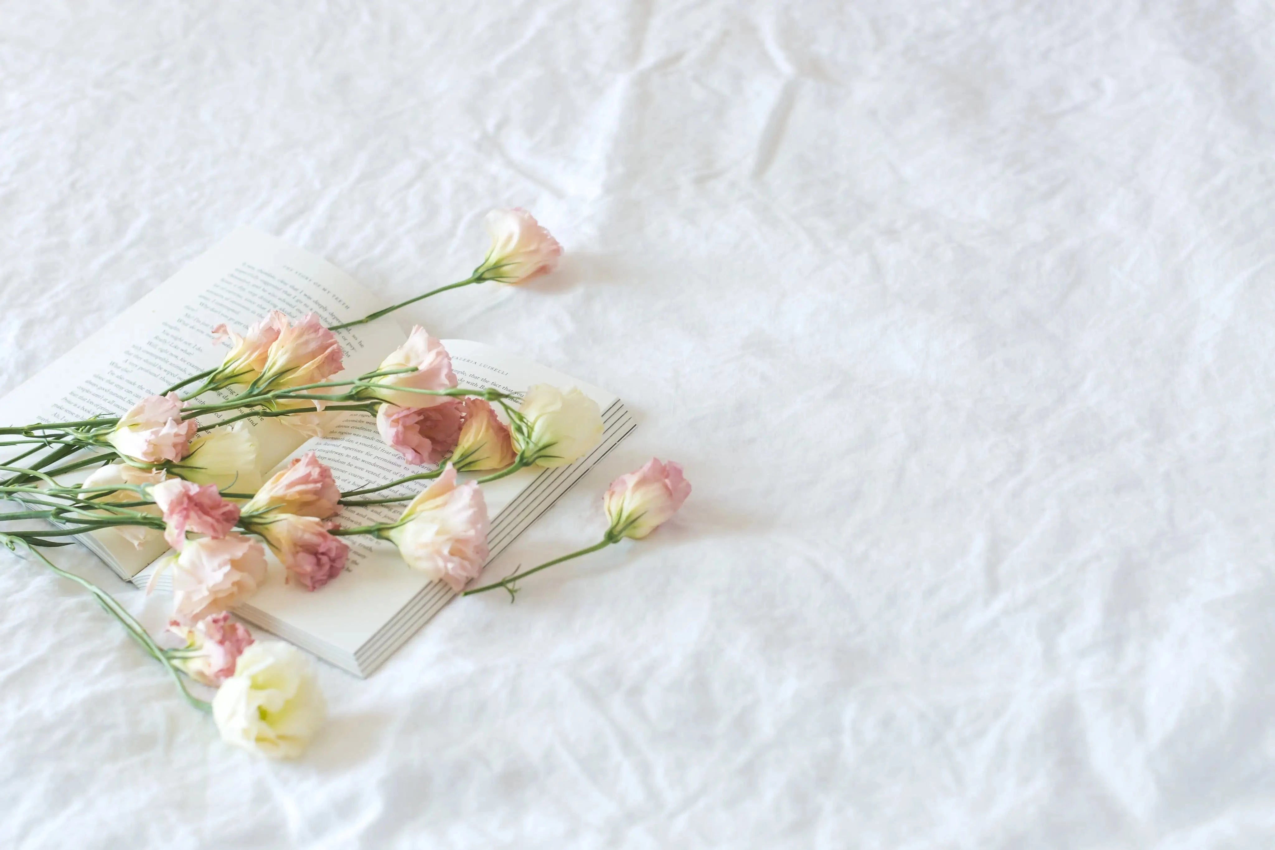 Pink flower petals scattered on white bed sheets.